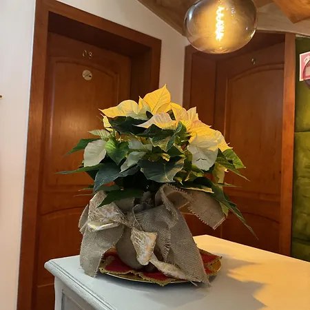 海军上将别墅酒店