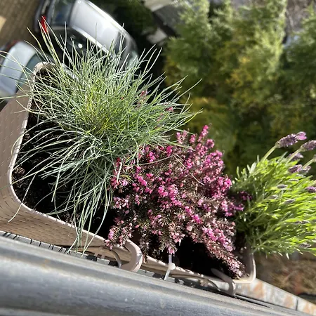 海军上将别墅酒店 住宿加早餐酒店 3*