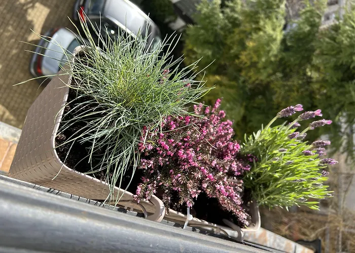 Admiral Bed & Breakfast 3*